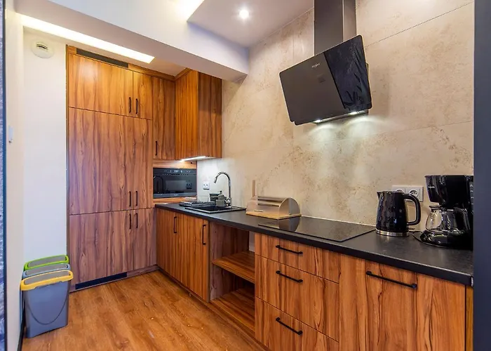 Elegancki Sun Seasons 24 W Karpaczu Z Sauna I Parkingiem By Renters Apartment *